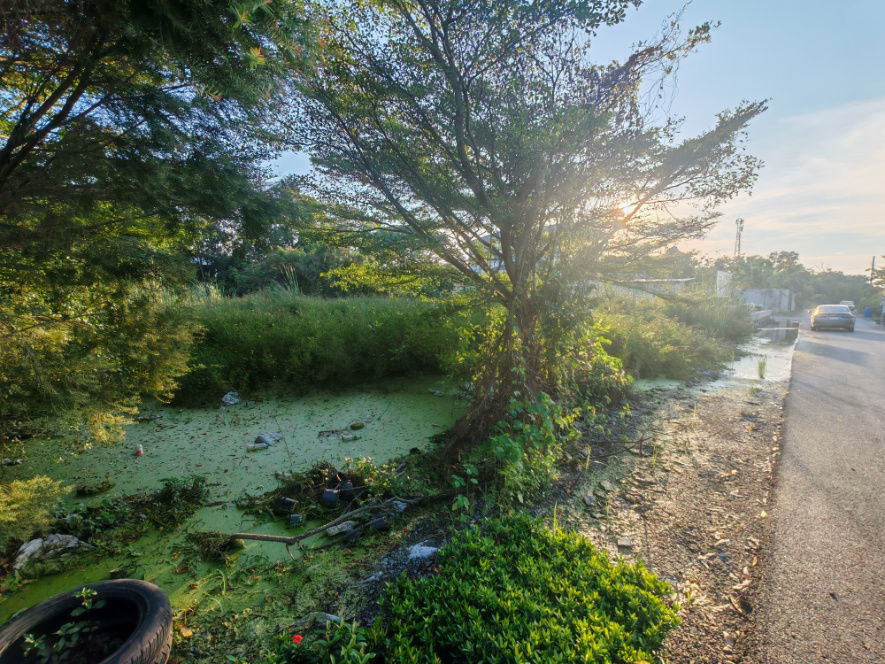 รูป ที่ดิน บางใหญ่ นนทบุรี ซอยหมู่บ้านเคหะการเกษตร 43 - รูปที่ 3/7