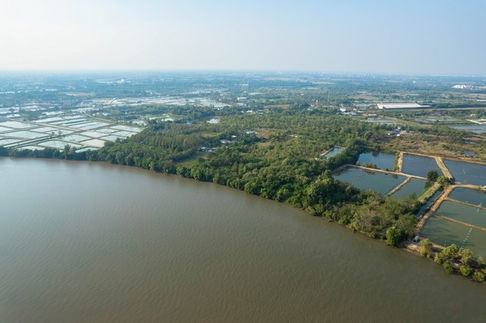 ขายที่ดิน ติดแม่น้ำบางปะกง เนื้อที่ 18 ไร่ 2 งาน 39 ตารางวา ตั้งอยู่ที่ ต.บางกรูด อ.บ้านโพธิ์ จ.ฉะเชิงเทรา