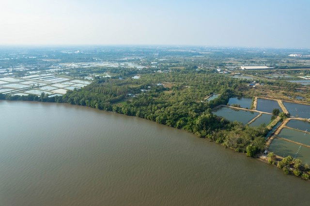 รูป ขายที่ดิน ติดแม่น้ำบางปะกง เนื้อที่ 18 ไร่ 2 งาน 39 ตารางวา ตั้งอยู่ที่ ต.บางกรูด อ.บ้านโพธิ์ จ.ฉะเชิงเทรา - รูปที่ 1/5