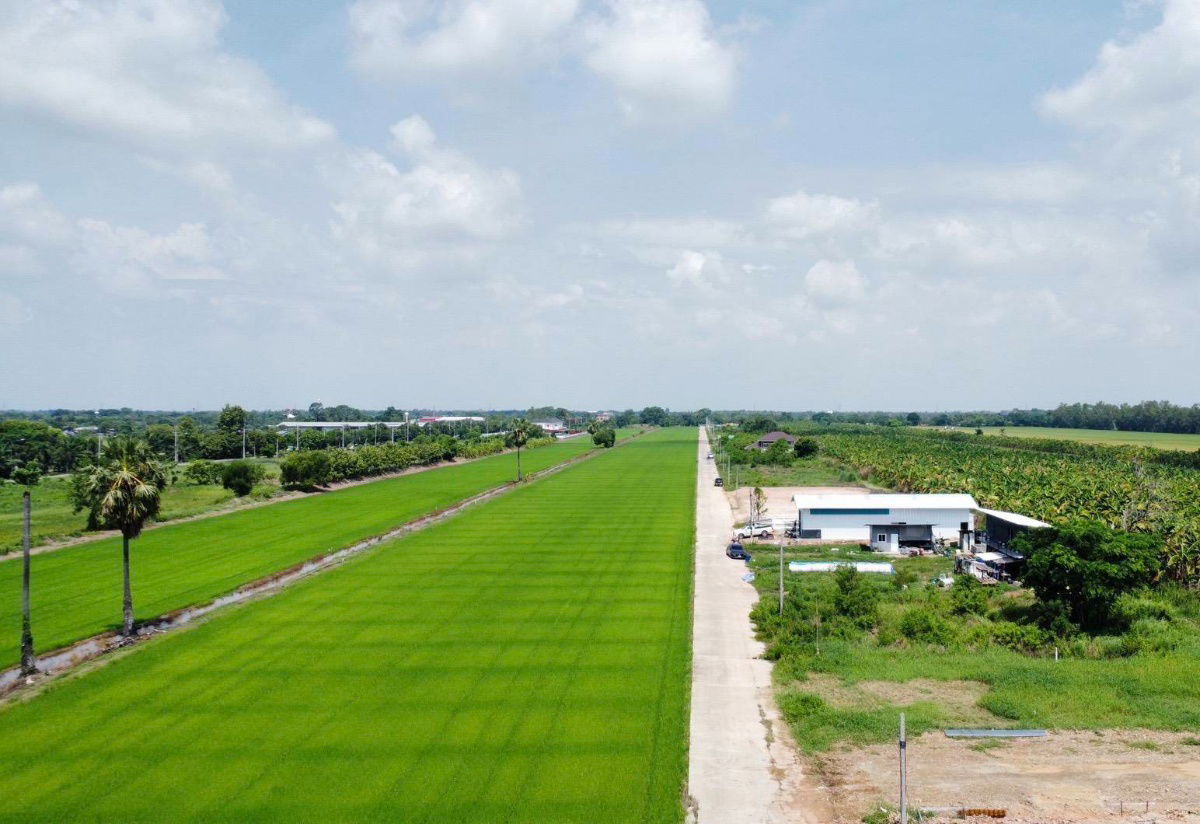 รูป ปลูกบ้านทำสวนโกดังเก็งกำไรใกล้เซเว่นซีเจมอลล์ โลตัส วัดโรงเรียนถนนคอนกรีต8.75มไร่ละ 1.45 ล้านบาทเนื้อที่ 1ไร่คลอง 11หนองเสือปทุมธานีรีบมาดูก่อน - รูปที่ 16/23