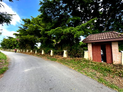 บ้านเดี่ยว สุพรรณบุรี : ขายบ้านพร้อมที่ดิน ดอนมะนาว สุพรรณบุรี | ที่ดินล้อมน้ำ 3 ด้าน | เหมาะทำบ้านสวน รีสอร์ต หรืออยู่อาศัย