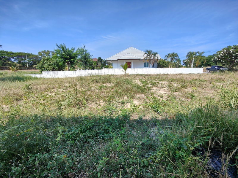 รูป ขายที่ดินสวย 241 ตารางวา  ที่ดินสวยพร้อมปลูกบ้าน  ภายในสนามกอล์ฟปาล์มฮิลส์ - ไม่มีค่าส่วนกลาง!  - รูปที่ 4/11