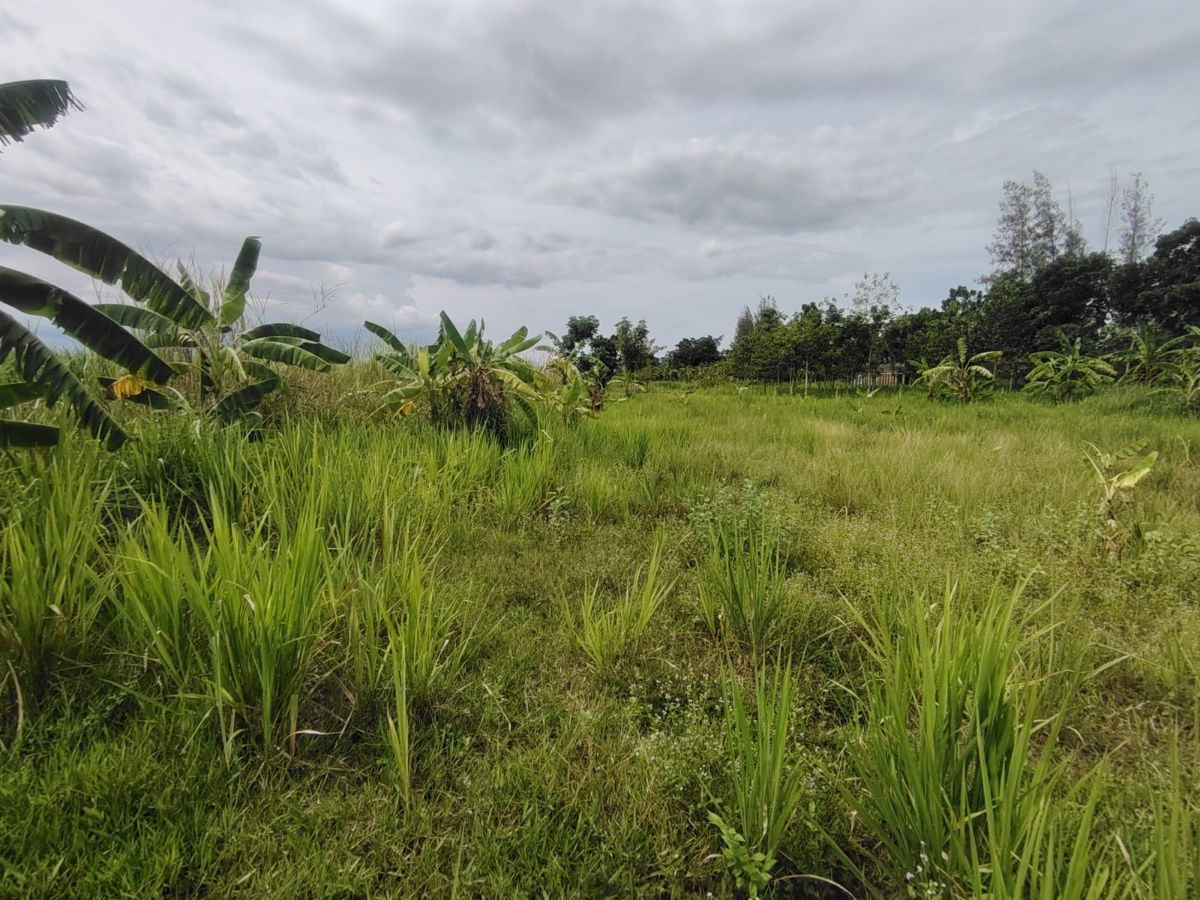 picture 1-0-0 Rai | Nice Square Shaped Home Plot  Conveniently Located West of Hua Hin Bypass - 9/12