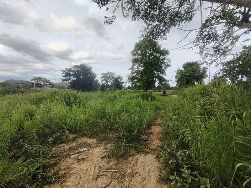 picture 252 TW | Main Road Home Plot  Direct Access to City Center! - 10/13