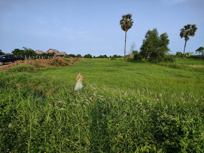 รูป เจ้าของต้องการขายที่ดิน 2-0-0 ไร่ ต้องการขายด่วน ! พิจารณาข้อเสนอที่สมเหตุสมผลทั้งหมด - รูปที่ 3/8