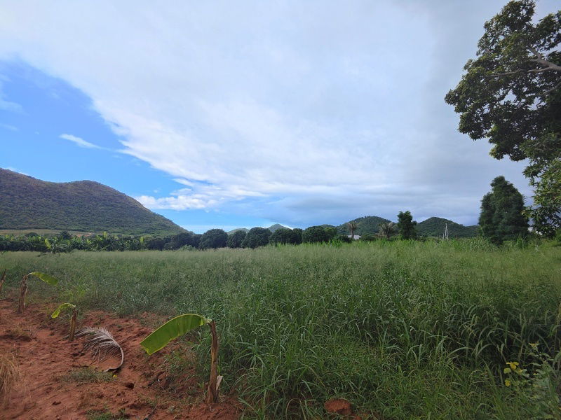 รูป ขายที่ดิน 3-0-0 ไร่ รูปแปลงสี่เหลี่ยมผืนผ้า วิวภูเขาล้อมรอบสวยงาม! - รูปที่ 7/11