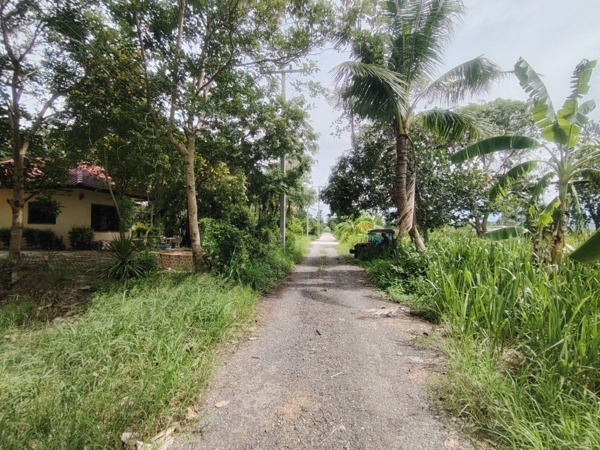 picture 1-0-0 Rai | Nice Square Shaped Home Plot  Conveniently Located West of Hua Hin Bypass - 5/12