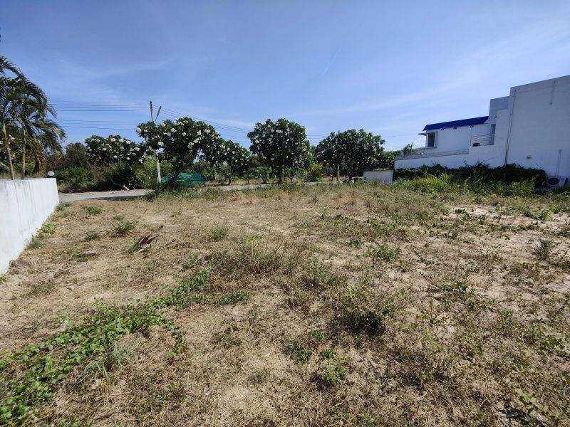 รูป ขายที่ดินสวย 241 ตารางวา  ที่ดินสวยพร้อมปลูกบ้าน  ภายในสนามกอล์ฟปาล์มฮิลส์ - ไม่มีค่าส่วนกลาง!  - รูปที่ 11/11