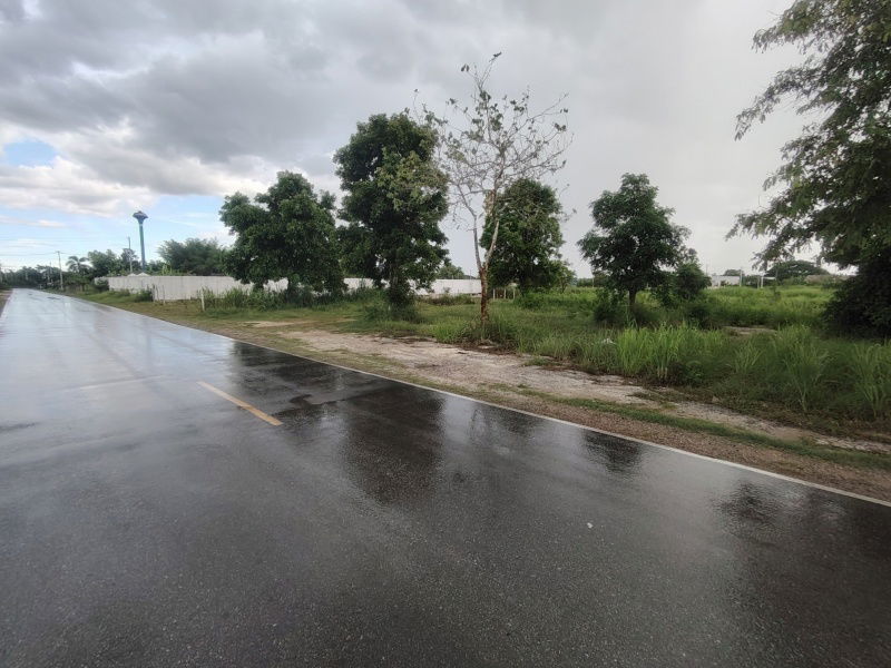 picture 252 TW | Main Road Home Plot  Direct Access to City Center! - 1/13