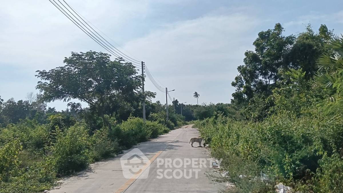 รูป ที่ดินสำหรับปล่อยขาย 8,000 ตารางเมตร แถว ใกล้ ห้วยใหญ่ (ID 2464898) - รูปที่ 8/10