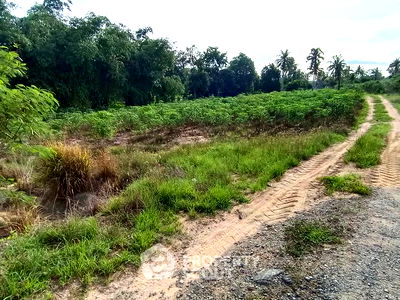 ที่ดิน ถนนพรประภานิมิต : ที่ดินสำหรับปล่อยขาย 8,000 ตารางเมตร แถว ใกล้ อ่างเก็บน้ำมาบประชัน (ID 2460860)