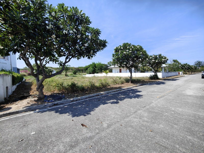 รูป ขายที่ดินสวย 241 ตารางวา  ที่ดินสวยพร้อมปลูกบ้าน  ภายในสนามกอล์ฟปาล์มฮิลส์ - ไม่มีค่าส่วนกลาง!  - รูปที่ 2/11