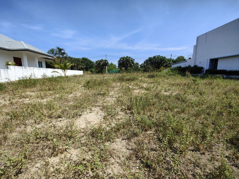 รูป ขายที่ดินสวย 241 ตารางวา  ที่ดินสวยพร้อมปลูกบ้าน  ภายในสนามกอล์ฟปาล์มฮิลส์ - ไม่มีค่าส่วนกลาง!  - รูปที่ 7/11