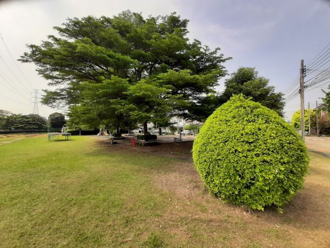 รูป ทาวนเฮ้าส์  พฤกษาวิลล์ 29  เพชรเกษม 69  เนื้อที่ 19.7 ตรว. 3 นอน 2 น้ำ 2 จอด 1.69 ล้าน  085-0732541 - รูปที่ 26/30