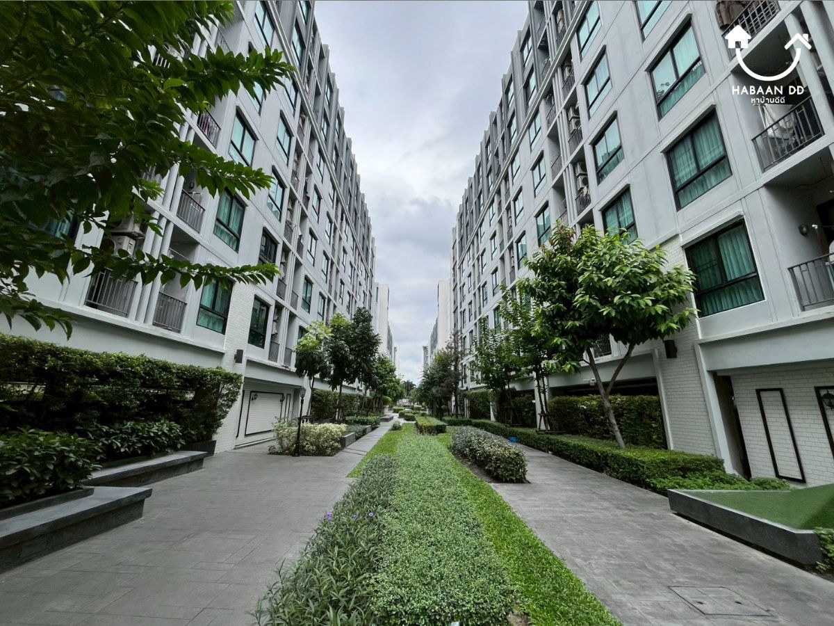 รูป ให้เช่าคอนโด Notting Hill Sukhumvit 105 - รูปที่ 10/25