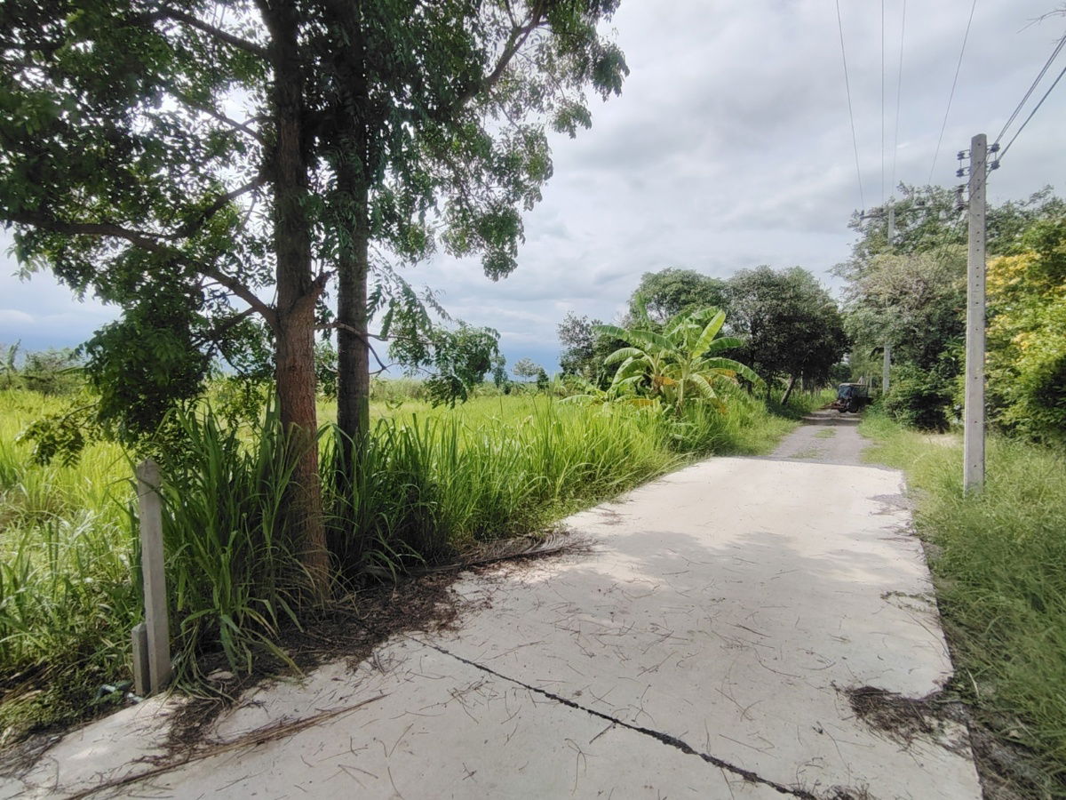 picture 1-0-0 Rai | Nice Square Shaped Home Plot  Conveniently Located West of Hua Hin Bypass - 3/12