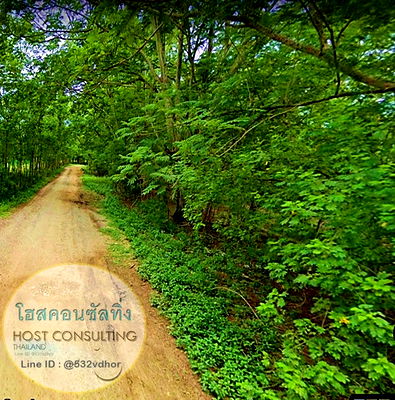 ที่ดิน นครนายก : ขายที่ดินโฉนดครุฑแดง เหมาะทำเกษตรเชิงท่องเที่ยว จ.นครนายก