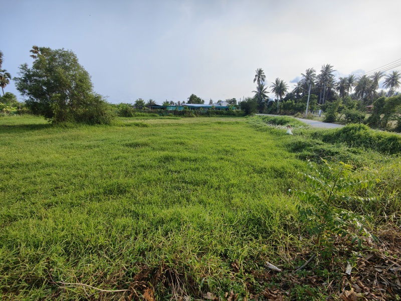 รูป เจ้าของต้องการขายที่ดิน 2-0-0 ไร่ ต้องการขายด่วน ! พิจารณาข้อเสนอที่สมเหตุสมผลทั้งหมด - รูปที่ 4/8