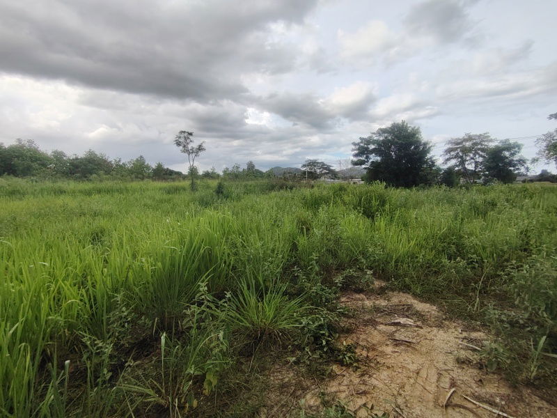 picture 252 TW | Main Road Home Plot  Direct Access to City Center! - 11/13