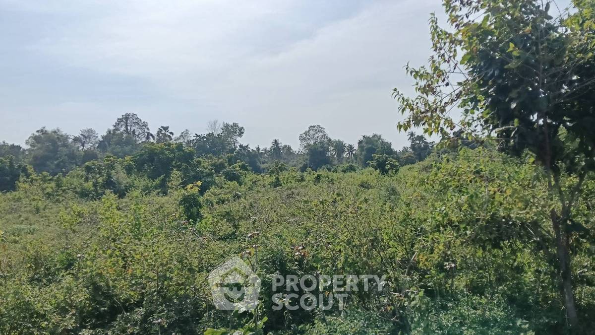 รูป ที่ดินสำหรับปล่อยขาย 8,000 ตารางเมตร แถว ใกล้ ห้วยใหญ่ (ID 2464898) - รูปที่ 5/10