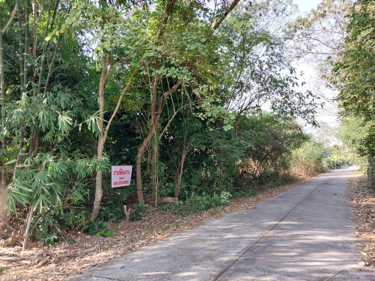 รูป ที่ดินเปล่า ทำเลทองภูกระดึง เจ้าของขายเอง - รูปที่ 3/6