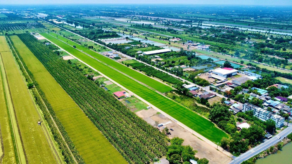 รูป ปลูกบ้านทำสวนโกดังเก็งกำไรใกล้เซเว่นซีเจมอลล์ โลตัส วัดโรงเรียนถนนคอนกรีต8.75มไร่ละ 1.45 ล้านบาทเนื้อที่ 1ไร่คลอง 11หนองเสือปทุมธานีรีบมาดูก่อน - รูปที่ 8/23