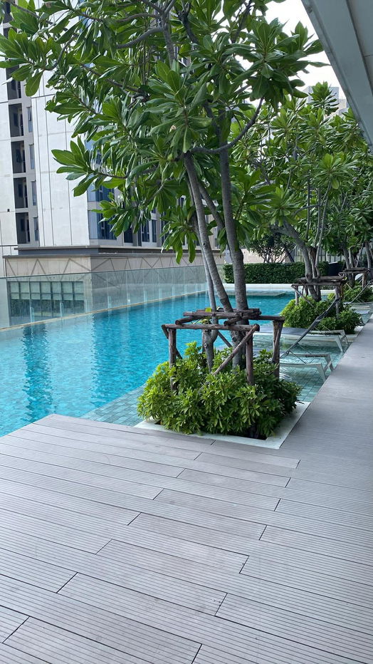 รูป ✨Condo for Rent : Whizdom Connect Sukhumvit ‌ ((AP-02)) ( line : @condo91 ) - รูปที่ 7/8