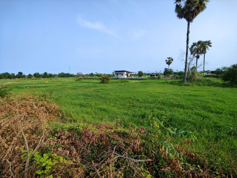 รูป เจ้าของต้องการขายที่ดิน 2-0-0 ไร่ ต้องการขายด่วน ! พิจารณาข้อเสนอที่สมเหตุสมผลทั้งหมด - รูปที่ 7/8