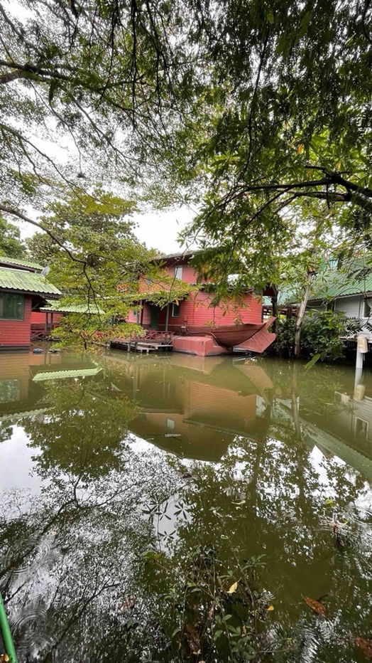 รูป ให้เช่า ที่ดิน ติดแม่น้ำบางใหญ่ 8-2-13.5 ไร่ เหมาะทำ Wellness - รูปที่ 14/14