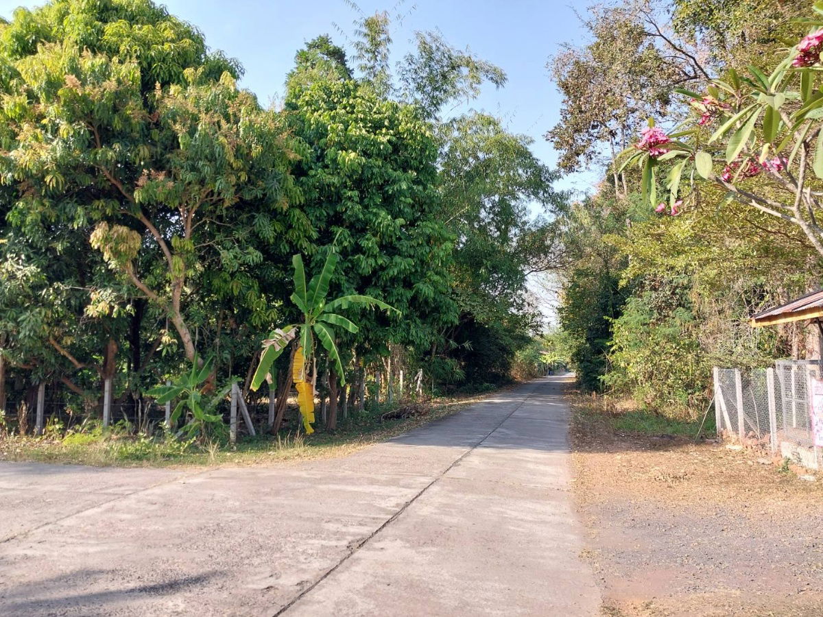 รูป ที่ดินเปล่า ทำเลทองภูกระดึง เจ้าของขายเอง - รูปที่ 2/6