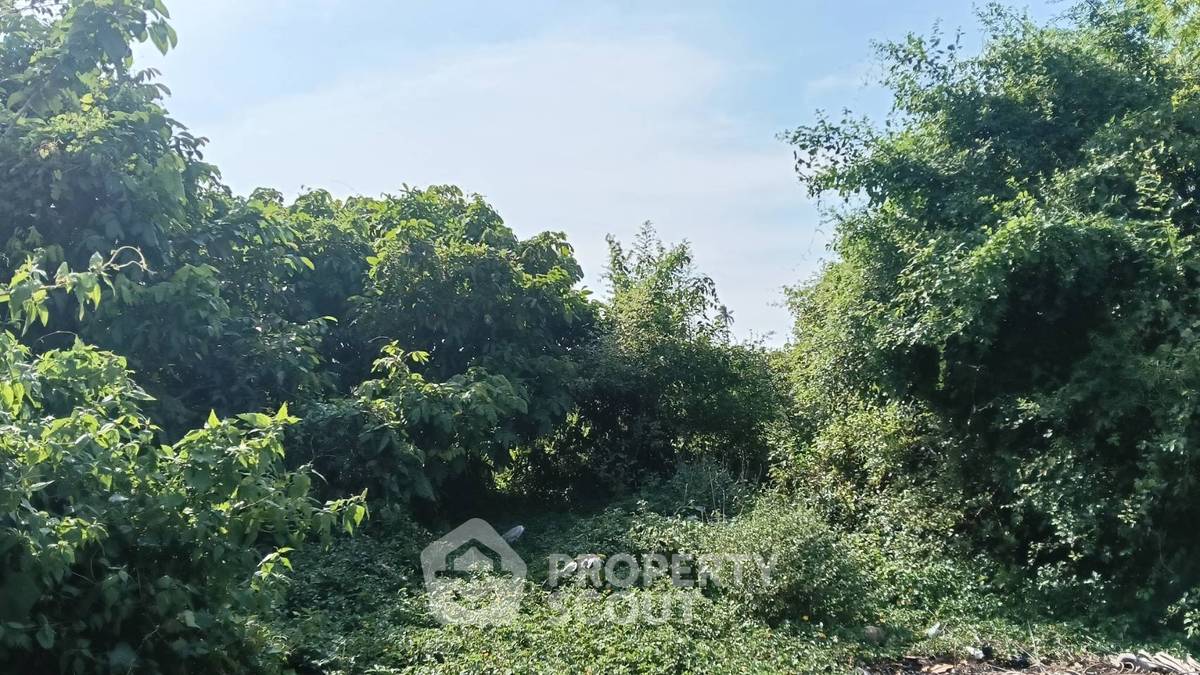 รูป ที่ดินสำหรับปล่อยขาย 8,000 ตารางเมตร แถว ใกล้ ห้วยใหญ่ (ID 2464898) - รูปที่ 3/10