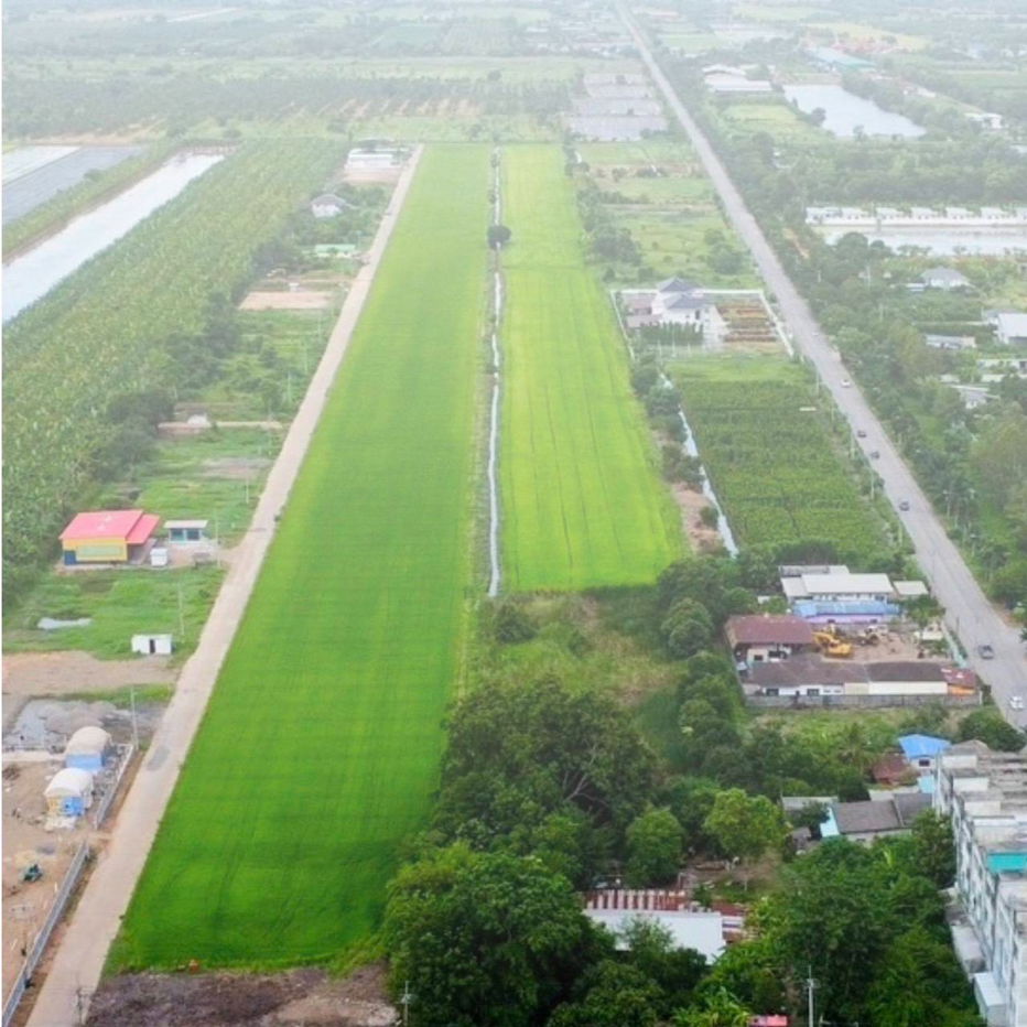 รูป ปลูกบ้านทำสวนโกดังเก็งกำไรใกล้เซเว่นซีเจมอลล์ โลตัส วัดโรงเรียนถนนคอนกรีต8.75มไร่ละ 1.45 ล้านบาทเนื้อที่ 1ไร่คลอง 11หนองเสือปทุมธานีรีบมาดูก่อน - รูปที่ 4/23