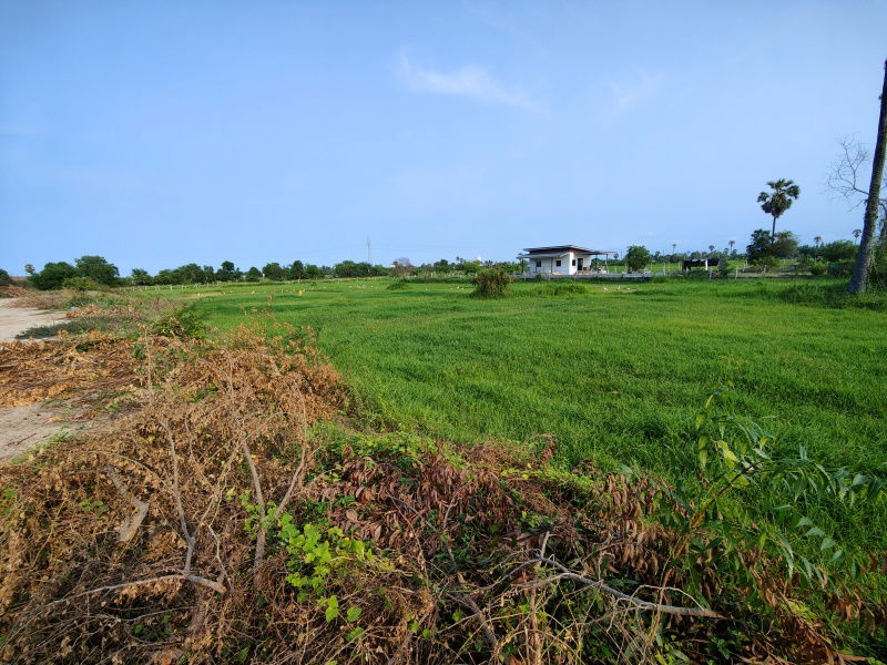 รูป เจ้าของต้องการขายที่ดิน 2-0-0 ไร่ ต้องการขายด่วน ! พิจารณาข้อเสนอที่สมเหตุสมผลทั้งหมด - รูปที่ 8/8
