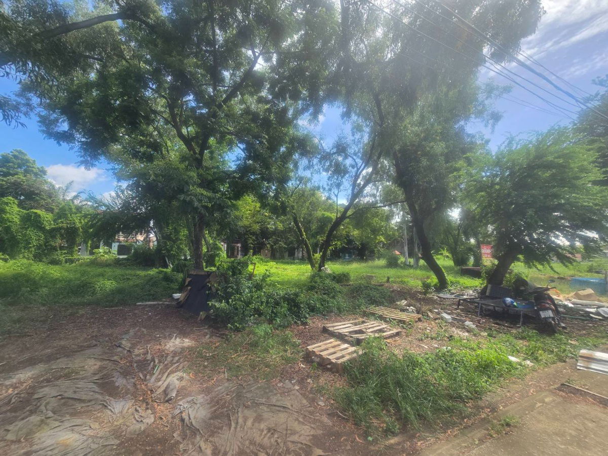 รูป 92519🌿 ขายที่ดินแปลงสวย ใกล้ทางด่วนศรีรัช–แจ้งวัฒนะ ทำเลศักยภาพสูง! - รูปที่ 7/7
