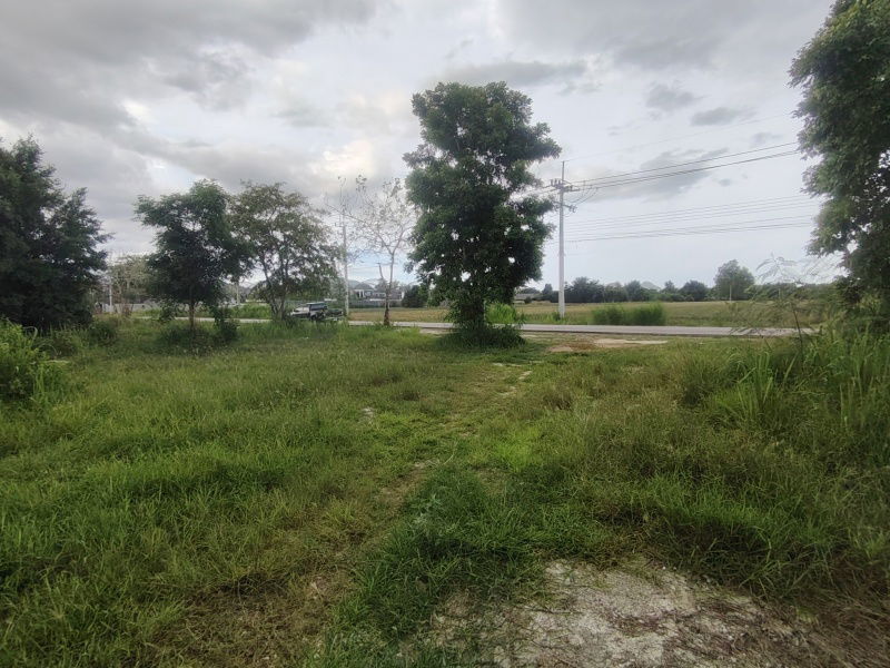 picture 252 TW | Main Road Home Plot  Direct Access to City Center! - 13/13