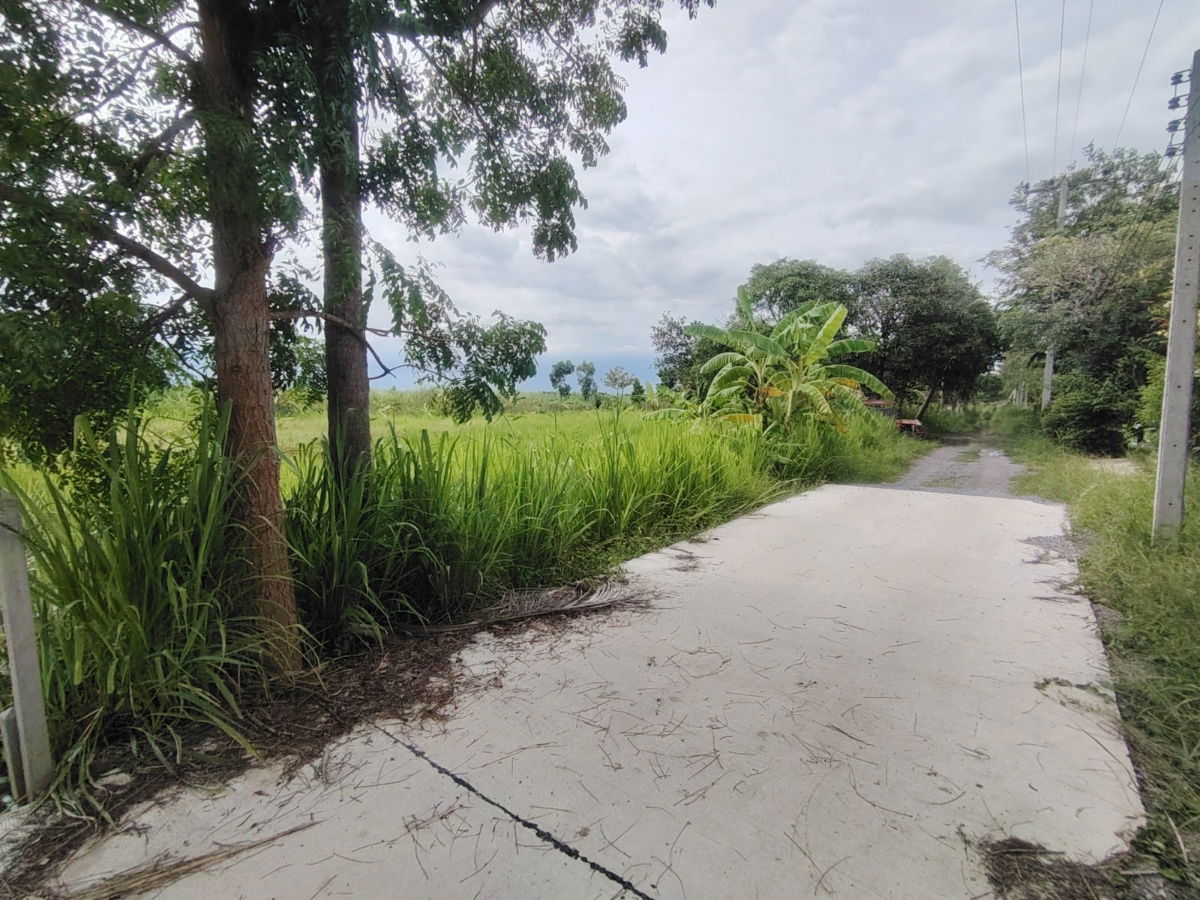 picture 1-0-0 Rai | Nice Square Shaped Home Plot  Conveniently Located West of Hua Hin Bypass - 1/12