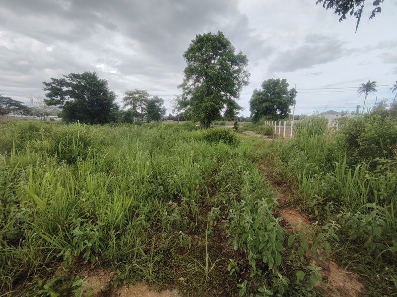 picture 252 TW | Main Road Home Plot  Direct Access to City Center! - 7/13