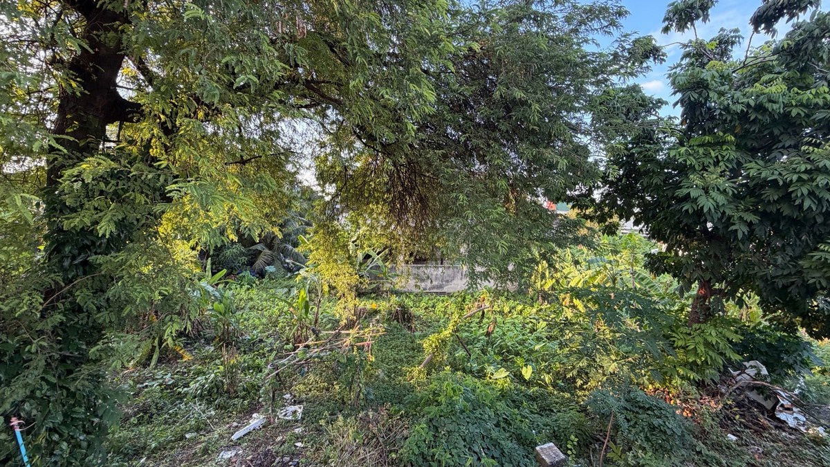 รูป ขายที่ดิน 1-2-32 ไร่ วงศ์สว่าง 19 ซอย 2 ต้นซอย ใกล้ MRT วงศ์สว่าง - รูปที่ 5/6