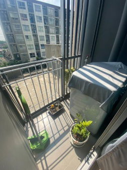 รูป 🔔🔔ปล่อยเช่า!! คอนโดฟิวส์ เซนเซ่ บางแค 24 ตร.ม.ชั้น 3 แต่งครบ+ซักผ้า สนใจ LINE: @atfirm🔔🔔 - รูปที่ 9/9