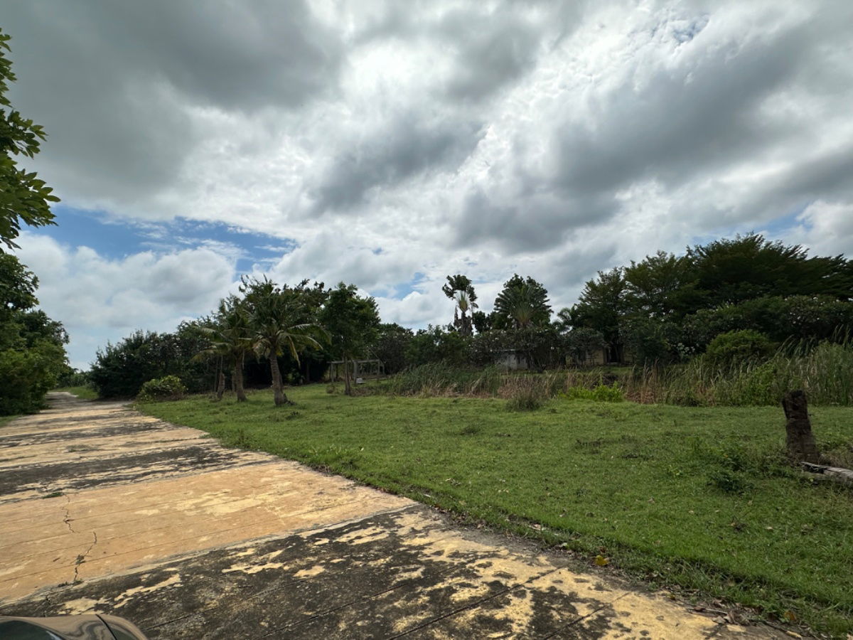 รูป ขายบ้านพร้อมที่ดิน ดอนมะนาว สุพรรณบุรี | ที่ดินล้อมน้ำ 3 ด้าน | เหมาะทำบ้านสวน รีสอร์ต หรืออยู่อาศัย - รูปที่ 12/18