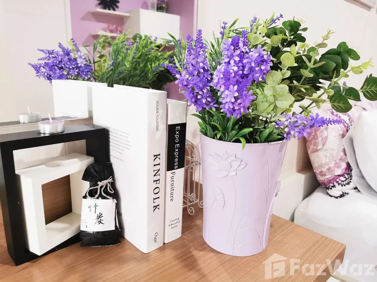 picture . 1987748 - 6/10