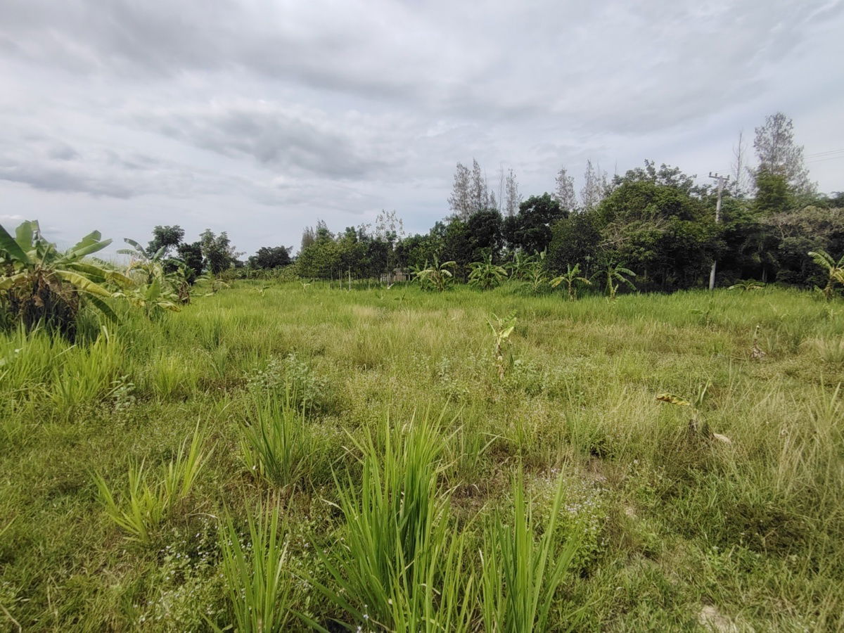 picture 1-0-0 Rai | Nice Square Shaped Home Plot  Conveniently Located West of Hua Hin Bypass - 12/12