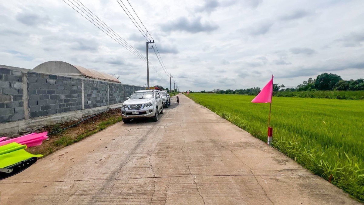 รูป ปลูกบ้านทำสวนโกดังเก็งกำไรใกล้เซเว่นซีเจมอลล์ โลตัส วัดโรงเรียนถนนคอนกรีต8.75มไร่ละ 1.45 ล้านบาทเนื้อที่ 1ไร่คลอง 11หนองเสือปทุมธานีรีบมาดูก่อน - รูปที่ 18/23