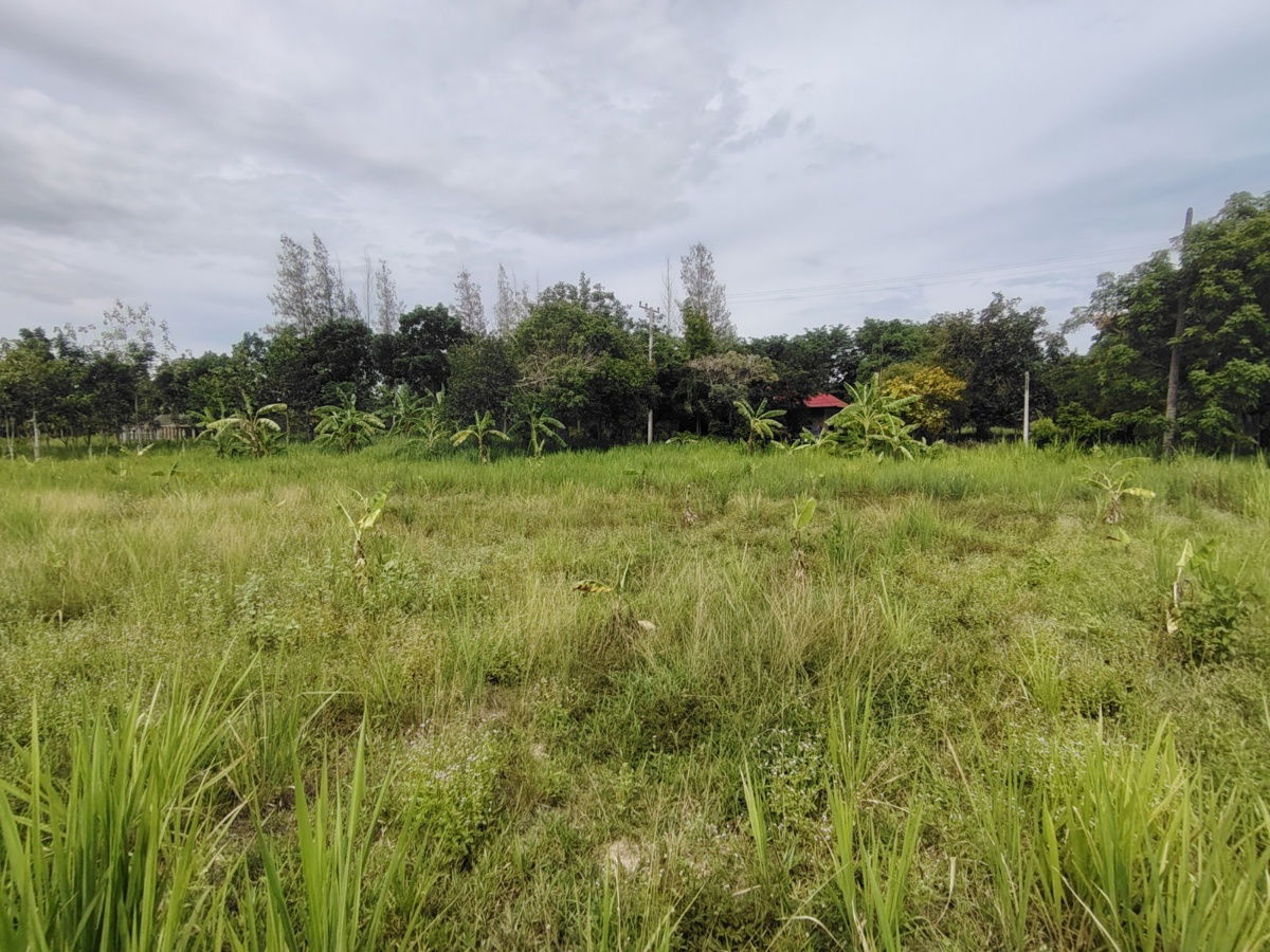 picture 1-0-0 Rai | Nice Square Shaped Home Plot  Conveniently Located West of Hua Hin Bypass - 11/12