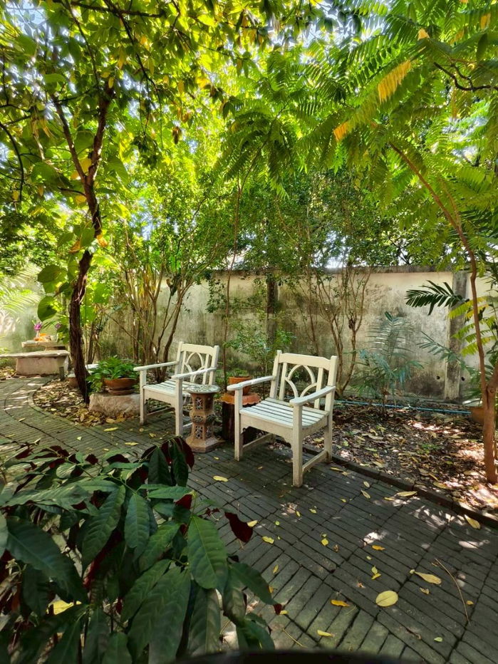 รูป 💙💙 ขายคฤหาสน์หรูกว่า 1 ไร่   📍📍ใจกลางสุขุมวิท 71 💛พื้นที่ใช้สอยกว่า 1,000 ตร.ม.  - รูปที่ 20/20