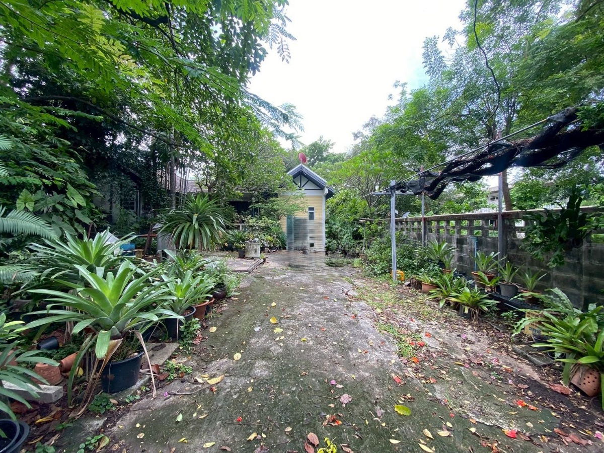 picture ⭐ House with Large Land Plot for Sale 🏠📍 Tiwanon 18 | 219 Sq.w. | Prime Nonthaburi Location Listing no.95196 - 2/5