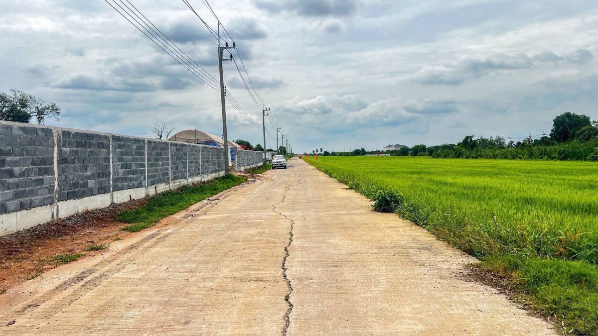 รูป ปลูกบ้านทำสวนโกดังเก็งกำไรใกล้เซเว่นซีเจมอลล์ โลตัส วัดโรงเรียนถนนคอนกรีต8.75มไร่ละ 1.45 ล้านบาทเนื้อที่ 1ไร่คลอง 11หนองเสือปทุมธานีรีบมาดูก่อน - รูปที่ 19/23