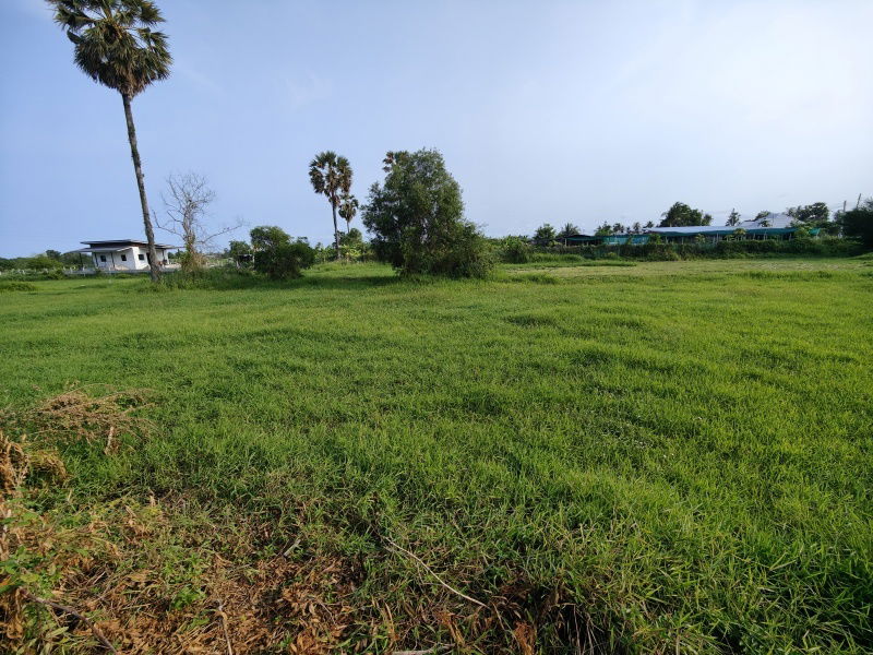 รูป เจ้าของต้องการขายที่ดิน 2-0-0 ไร่ ต้องการขายด่วน ! พิจารณาข้อเสนอที่สมเหตุสมผลทั้งหมด - รูปที่ 5/8