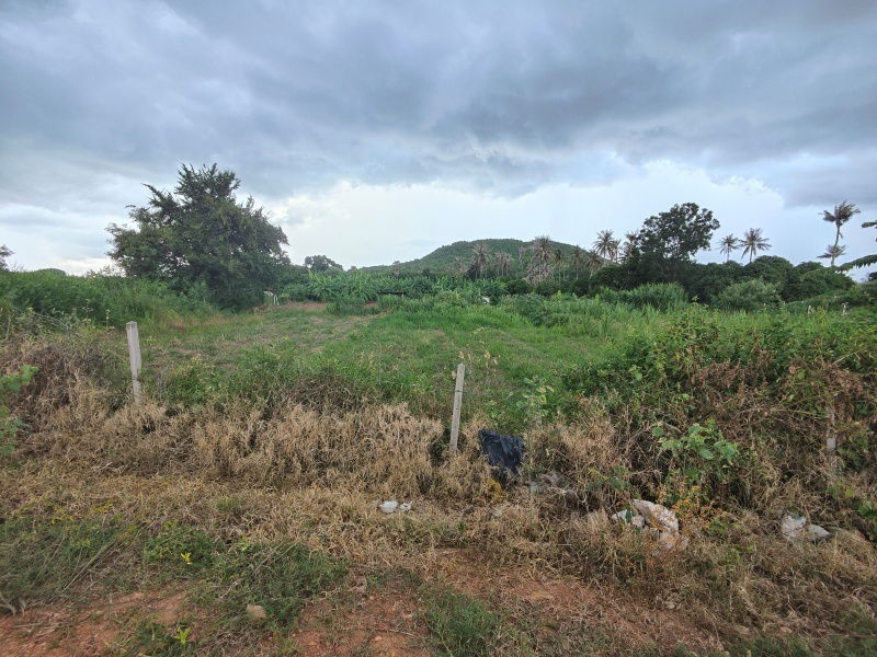 รูป ขายที่ดิน 3-0-0 ไร่ รูปแปลงสี่เหลี่ยมผืนผ้า วิวภูเขาล้อมรอบสวยงาม! - รูปที่ 11/11