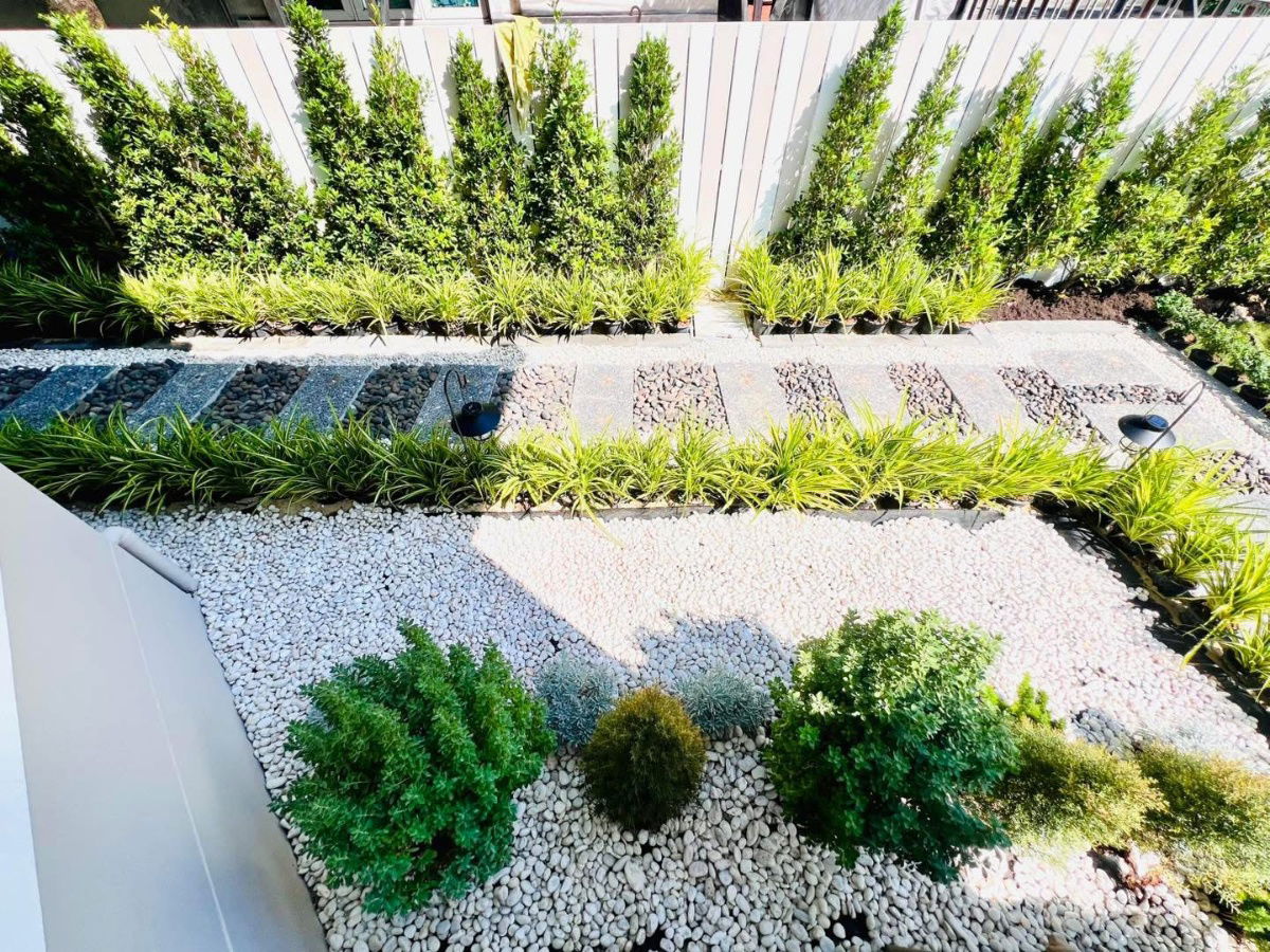 รูป บ้านเดี่ยว ชัยพฤกษ์ 2 บางคูวัด (Land & Houses) | 4 นอน 54.4 ตร.วา! ตกแต่งใหม่ สวนหินสวย | 4.29 ลบ. - รูปที่ 17/19